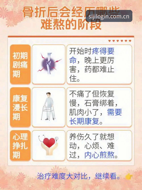 深度揭秘：2026世界杯J组暗藏的“德甲帮”与观赛体验